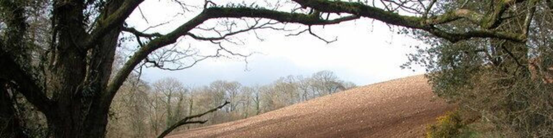 Ploughed field in the Hollocombe Water valley.