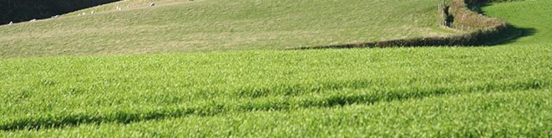 Rolling green hills, a small village, and scattered trees.