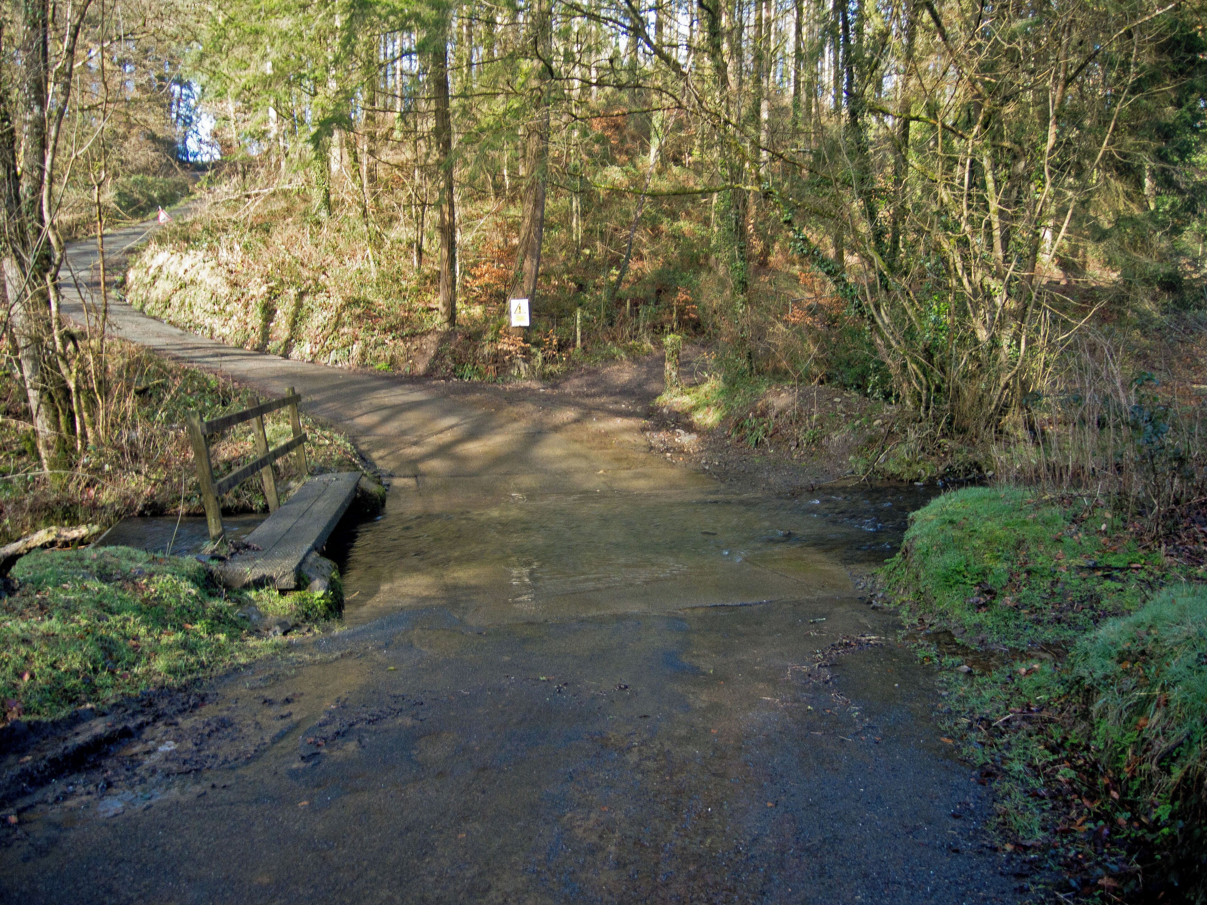 A ford in Affeton Wood