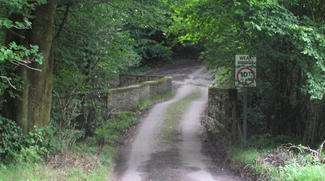 Weak bridge over the Little Dart River - August 2011