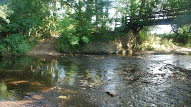 Brushford Ford