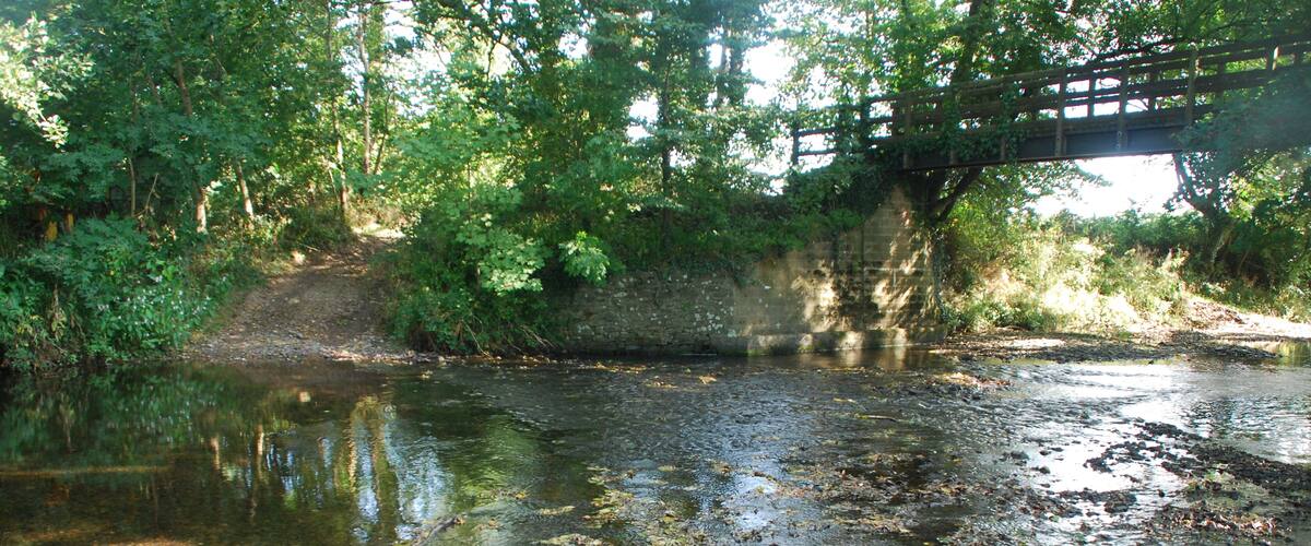 A river with a wooden bridge, surrounded by dense greenery and trees.