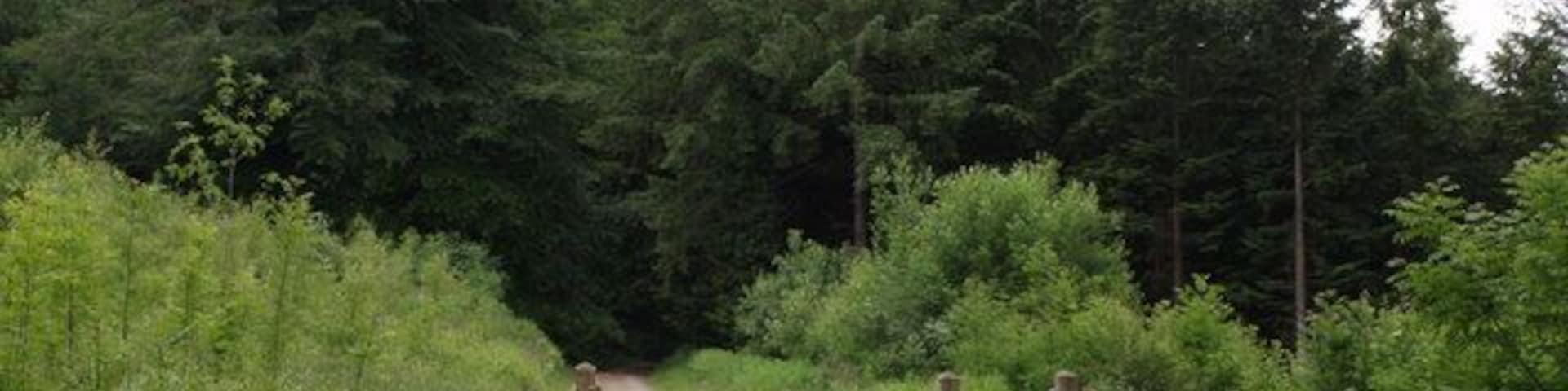 North Down Plantation This forms part of the Eggesford woodlands, which are the site of the Forestry Commission's first planting in 1919. Here Wembworthy Footpath 1 (as described on the DCC ROW 1:1250 map, but shown as a bridleway on the smaller scale OS maps) leaves the small car park by the lane at Heywood and drops into mixed woodland on its way towards Labdon.