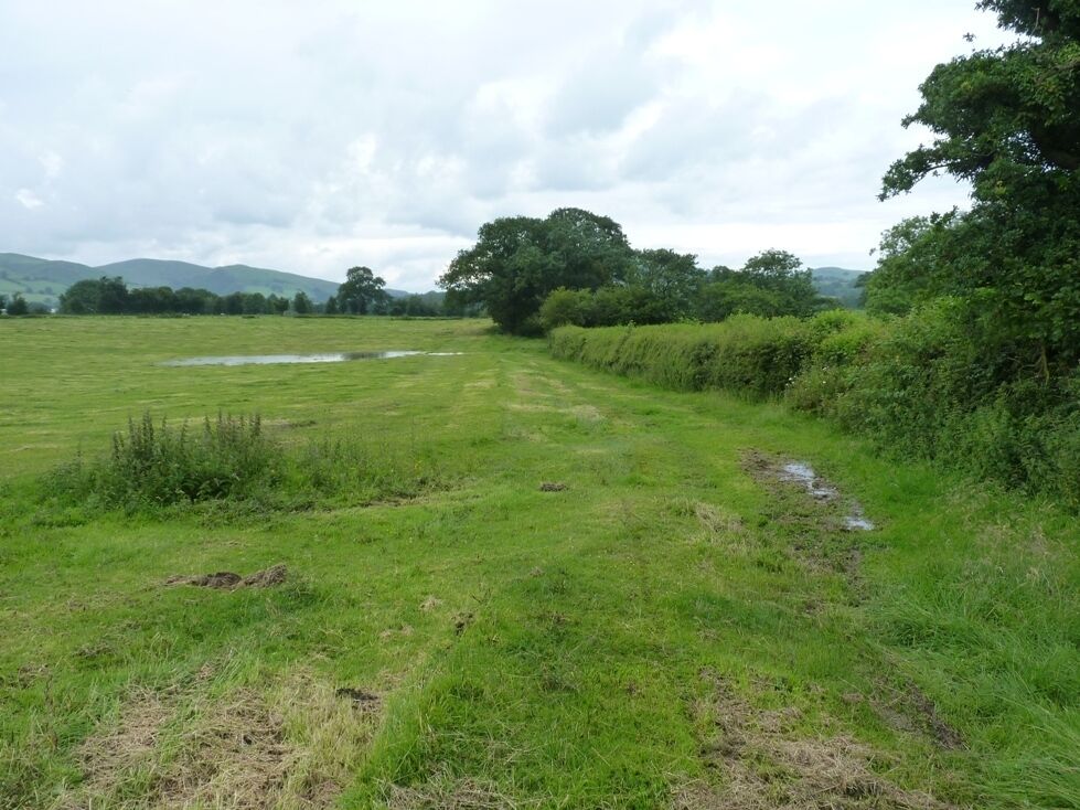 The line of the Roman Road near Whittingslow