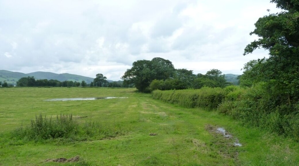The line of the Roman Road near Whittingslow