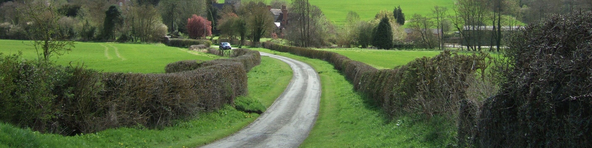 A rural road winding through green fields, with a house and trees in the distance.