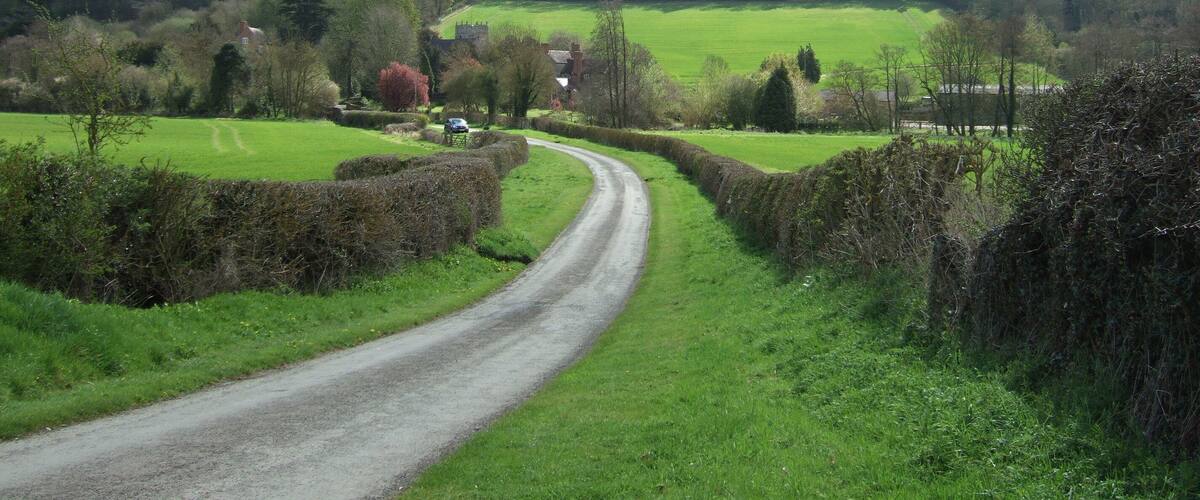 A rural road winding through green fields, with a house and trees in the distance.