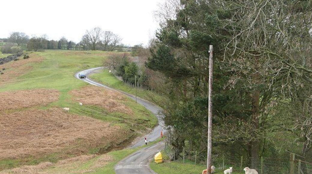 Womerton Unfenced road on the edge of the common grazings of the Long Mynd.