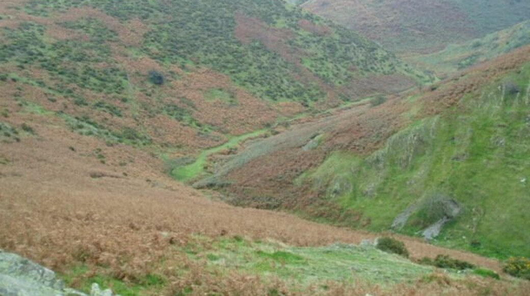 Jonathan's Hollow. Looking down into Jonathan's Hollow, on the north side of the Long Mynd. Picture taken from SO 44628 96529
