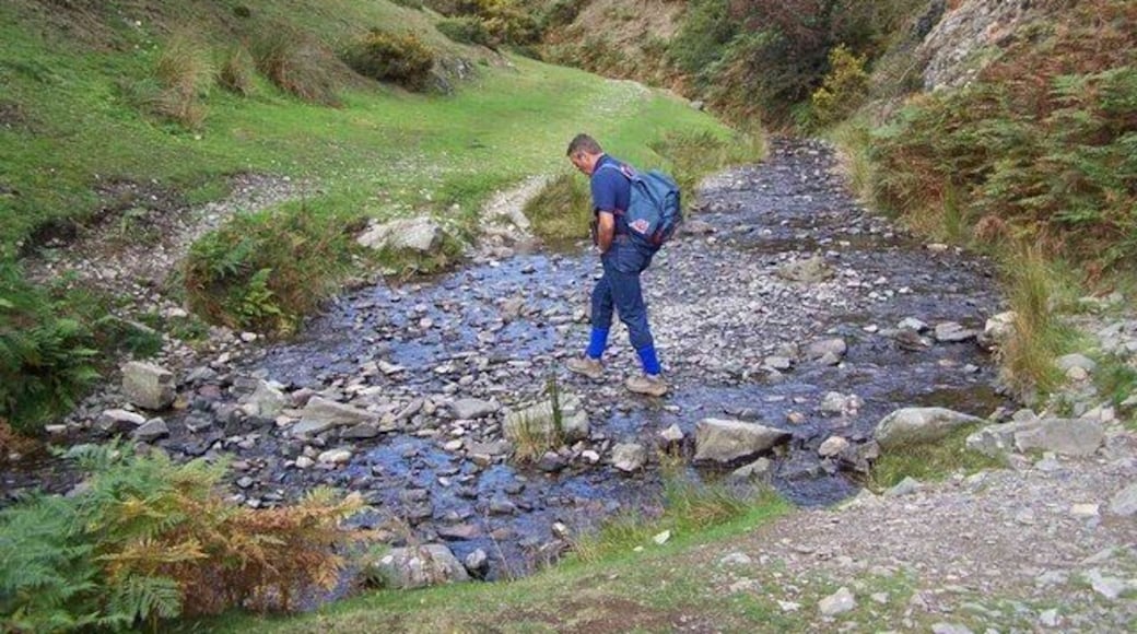 Stepping Stones, Ashes Hollow