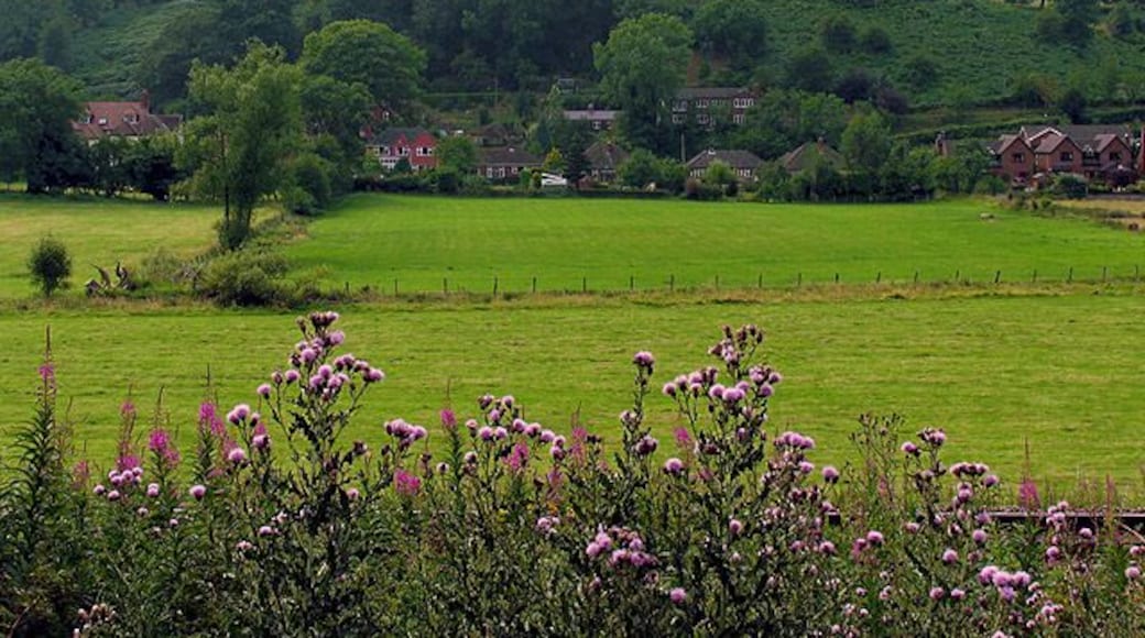Farmland near Little Stretton. This view of fields between the railway line and Little Stretton is in the southern half of the square. The square is characterised by farmland and residences in Little Stretton. It also contains the site of an old castle, not visible in this picture.