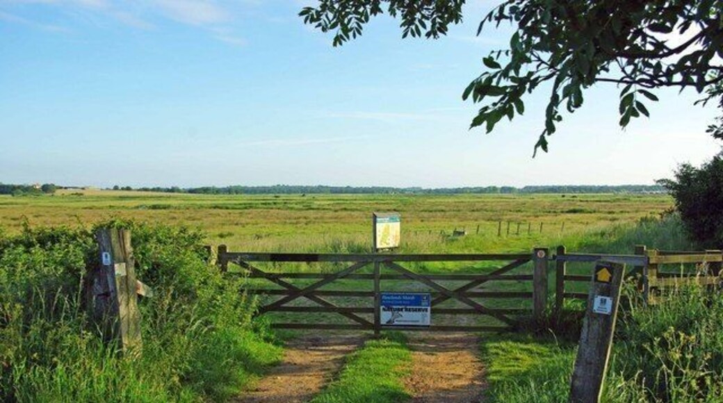 Howlands Marsh Reserve. Howlands Marsh Reserve consists of 182 acres of some of the best surviving grazing marsh in Essex. It is owned by Essex Wildlife Trust. To learn more about the reserve see http://www.essexwt.org.uk/visitor_centres__nature_reserves/howlands_marsh_nature_reserve/ Continue on a virtual tour of Wildlife Trust Reserves in Essex by visiting 1317172