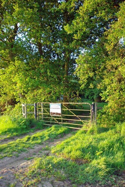 Weeley Hall Wood Weeley Hall Wood is a nature reserve owned by Essex Wildlife Trust it consists of 78 acres of ancient woodland for more information on the reserve see http://www.essexwt.org.uk/sites/Weeleyhall%20Wood.htm
