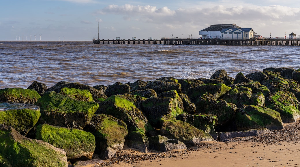 A rocky shoreline with green moss-covered rocks, a sandy beach, and a pier extending into the water with buildings at the end.
