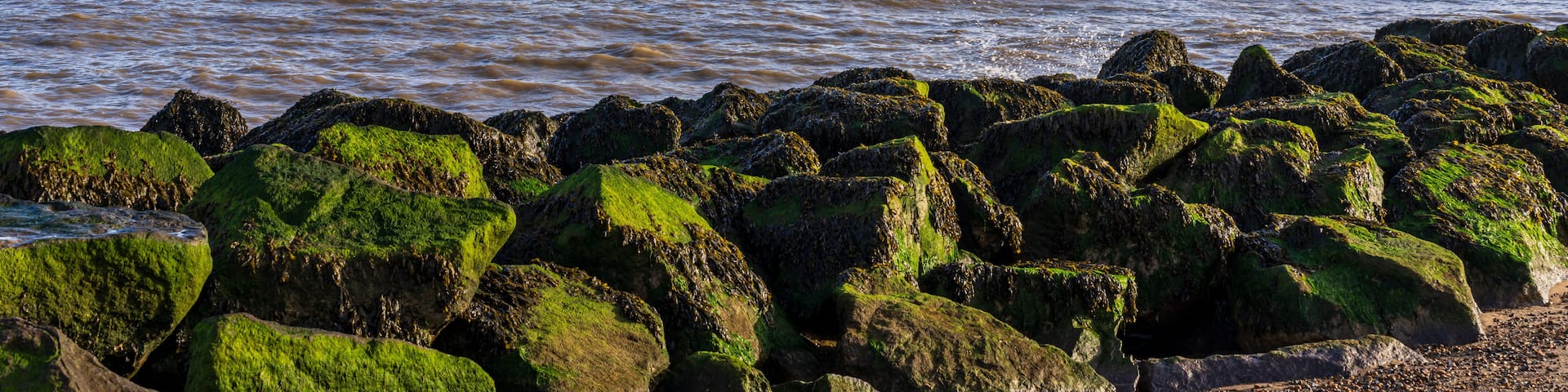 A rocky shoreline with green moss-covered rocks, a sandy beach, and a pier extending into the water with buildings at the end.