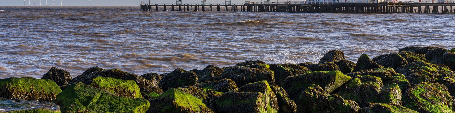 A rocky shoreline with green moss-covered rocks, a sandy beach, and a pier extending into the water with buildings at the end.