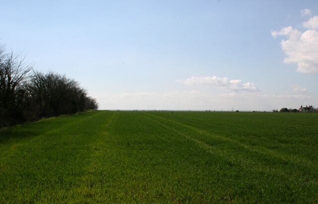 Field on Leewick Farm. I took this photo from Leewick Lane on the approach to Leewick Farm. The buildings in the centre right of the photo are 218983. This field is fairly large and covers a couple of grid squares.
