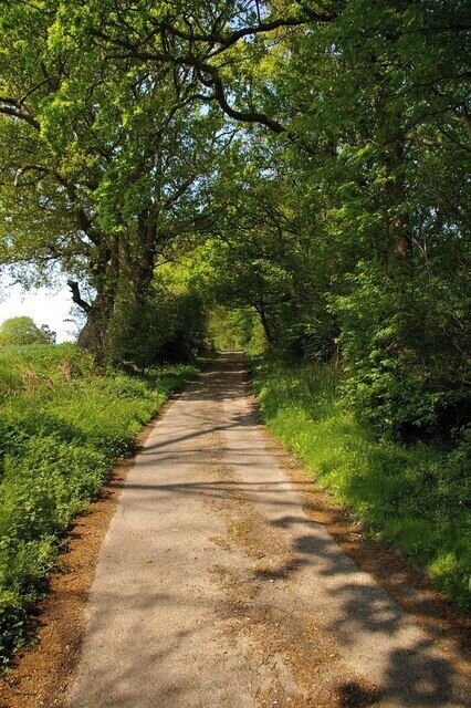 Hill House Lane This Lane in Tendering runs from Thorpe Rd to Whitehall Lane. For much of its length it is a private rd.