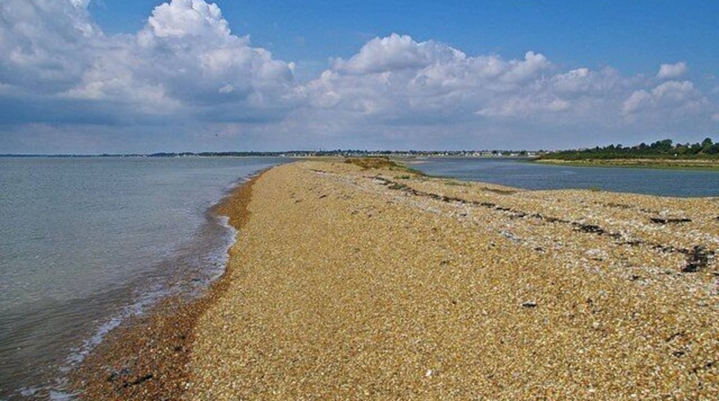 View to Sandy Point. This is part of the shingle spit on the Colne Point Nature Reserve owned by Essex Wildlife Trust http://www.essexwt.org.uk/visitor_centres__nature_reserves/colne_point_nature_reserve/ .The reserve is only accessible to the general public by day permit obtainable from the Trust headquarters. The shingle spit is the best example in Essex. This view is the eastern (and smaller) of two parallel spits that end at Sandy Point.