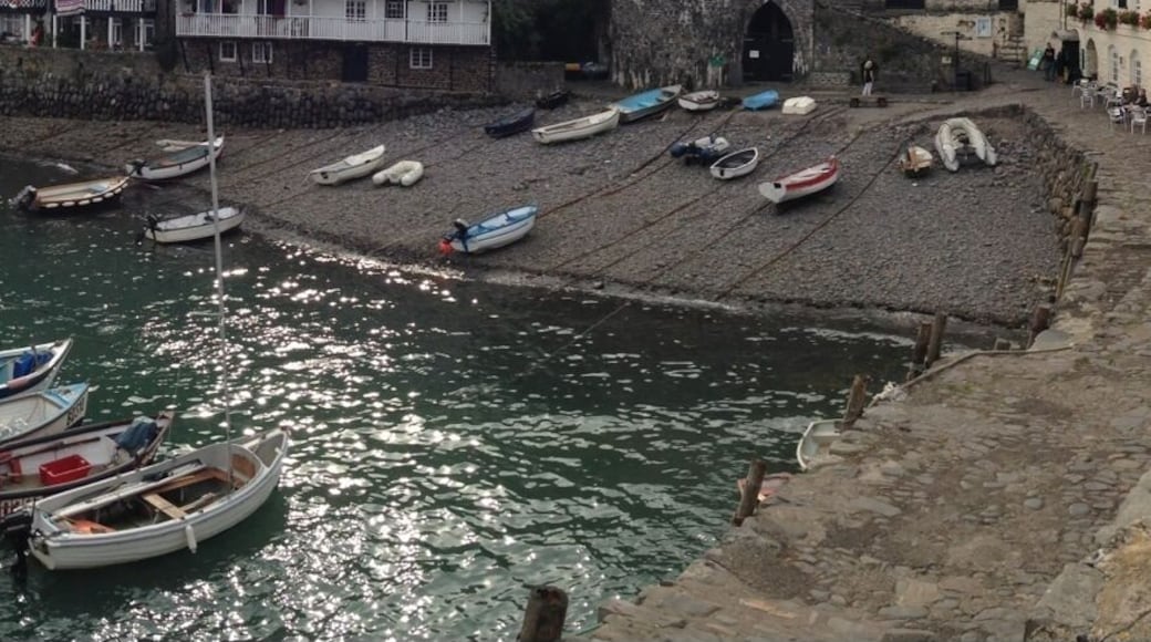 Clovelly set into a steep hillside, is one of the most famous villages in the world.
Clovelly has a single cobbled high street winds its way down the hillside to the ancient Clovelly harbour, through traditional whitewashed cottages festooned with fuchsias and geraniums - the street dropping 400ft (half a mile) as it winds its way through Clovelly's 16th century cottages to the harbour.
Traffic is banned from the high street, visitors parking at the top of the hill adjacent to Clovelly Heritage Centre. For a small fee, a landrover service ferries visitors up and down the steep hill via a back road, to the harbourside Red Lion Public House.
The street of Clovelly are too steep for motor vehicles, hence why for centuries, donkeys were used for getting up and down the street. Donkeys still live at the the top of the hill where children can have a donkey ride in the summer.