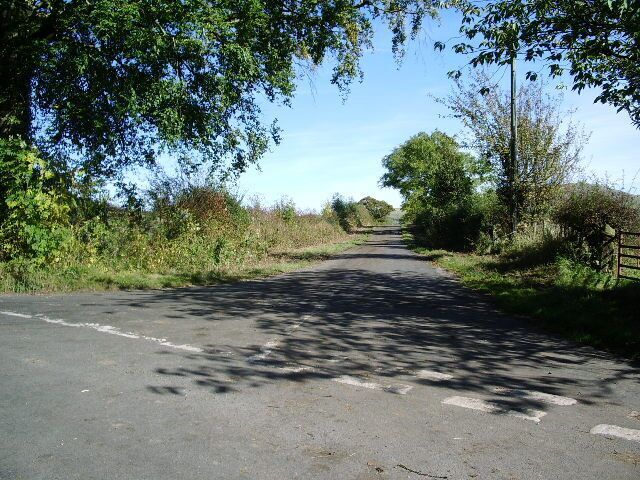 A rural road flanked by trees and vegetation.