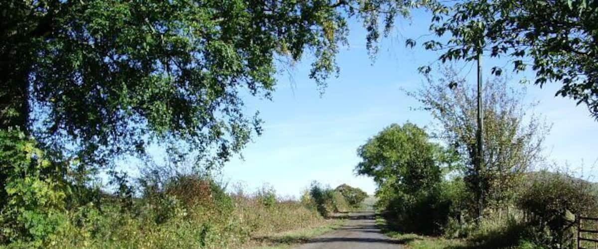 A rural road flanked by trees and vegetation.