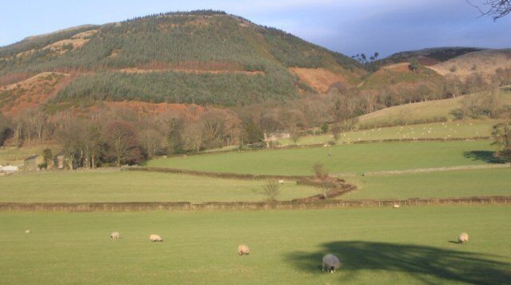 Harrot. A sunny winter view.