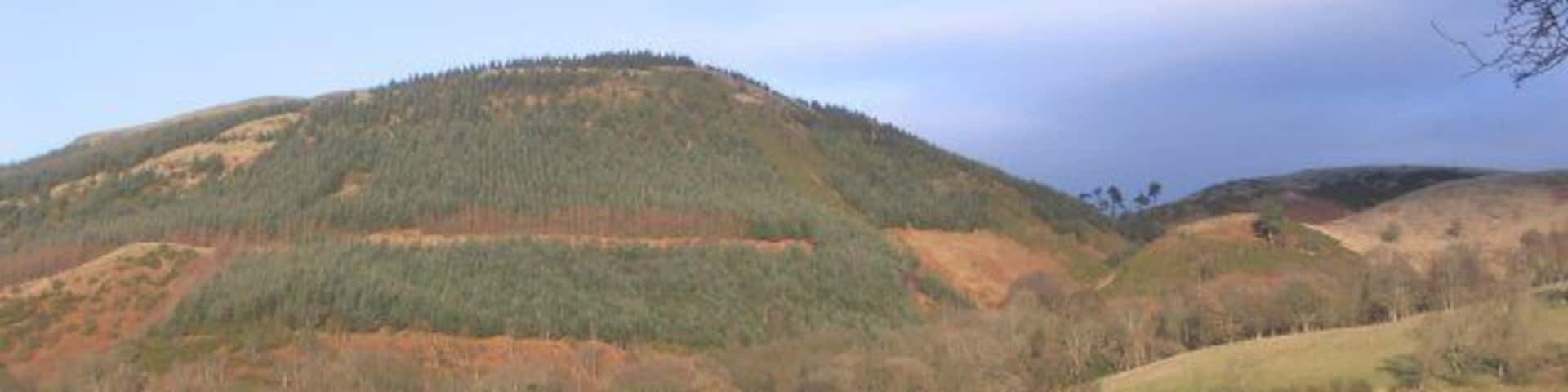 Harrot. A sunny winter view.