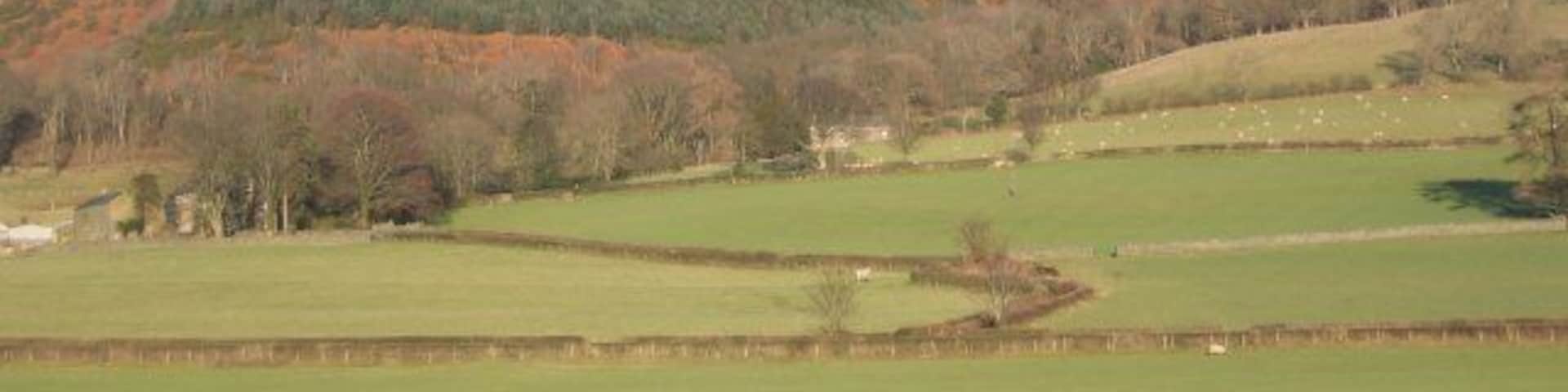 Harrot. A sunny winter view.