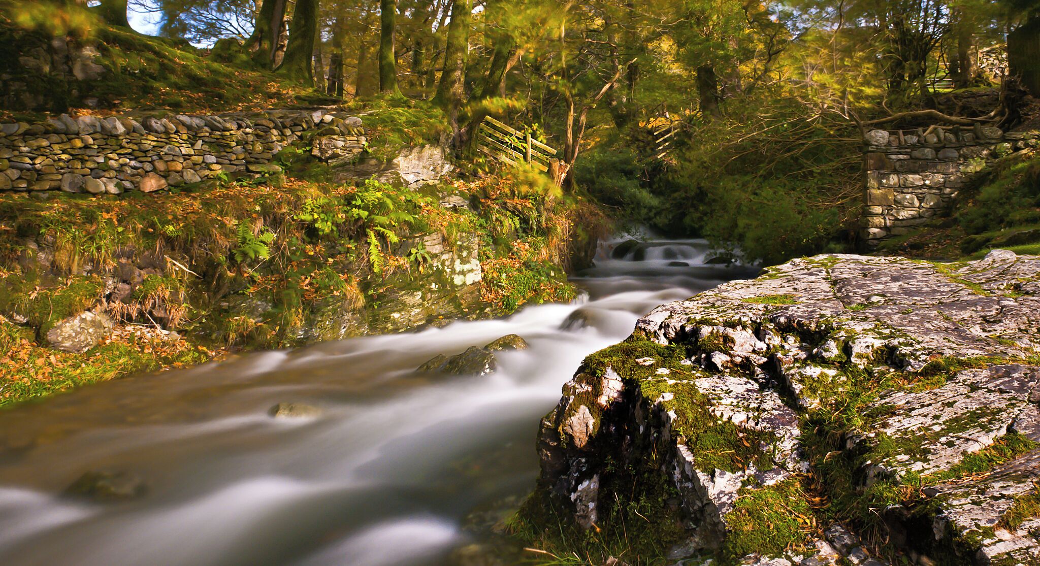 A flowing river with a stone bridge and surrounding forest.