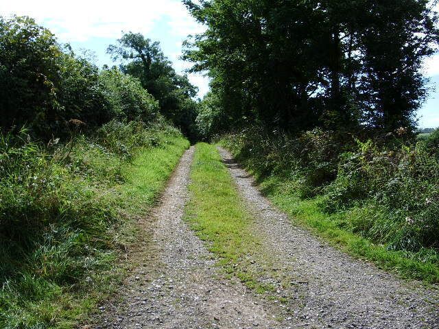 A gravel path flanked by lush greenery and trees.