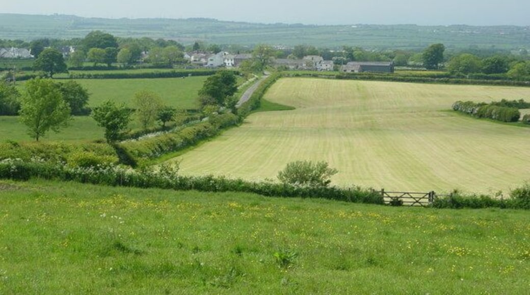 Haytime on Tallentire Hill. The expression "haytiming" is often used instead of "haymaking" in Cumbria. Here, in early June, the first cutting is underway.