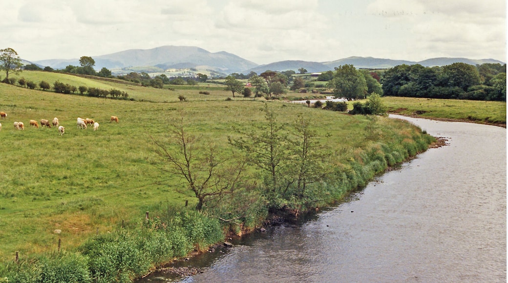 Upstream on River Derwent at Great Broughton, 1986. View eastward from the bridge between Great Broughton (to left) and the A66 (to right). On the horizon is Skiddaw (3,054 ft.) and nearer to its right the fells over the west shore of Bassenthwaite Lake.