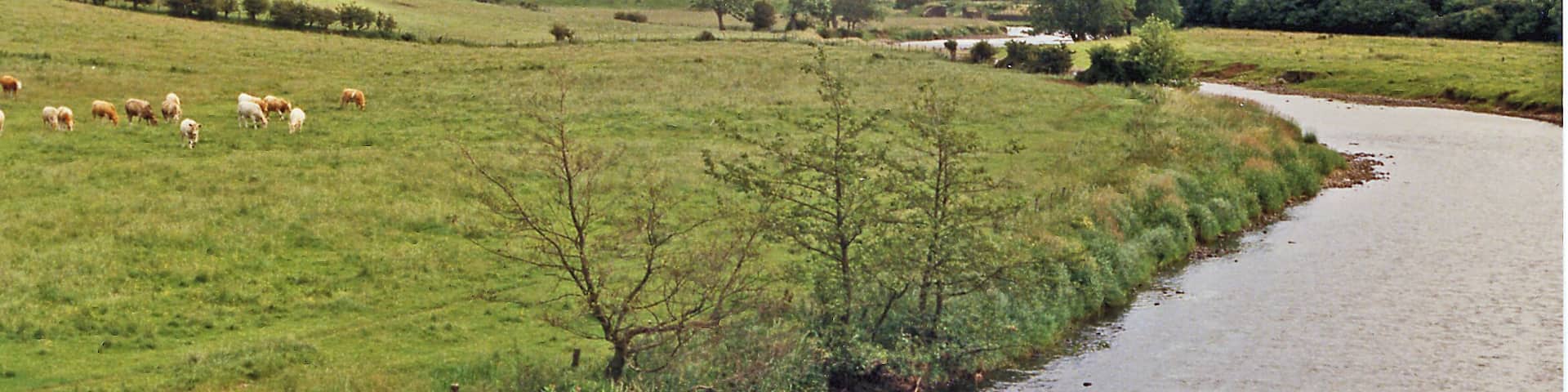 Upstream on River Derwent at Great Broughton, 1986. View eastward from the bridge between Great Broughton (to left) and the A66 (to right). On the horizon is Skiddaw (3,054 ft.) and nearer to its right the fells over the west shore of Bassenthwaite Lake.
