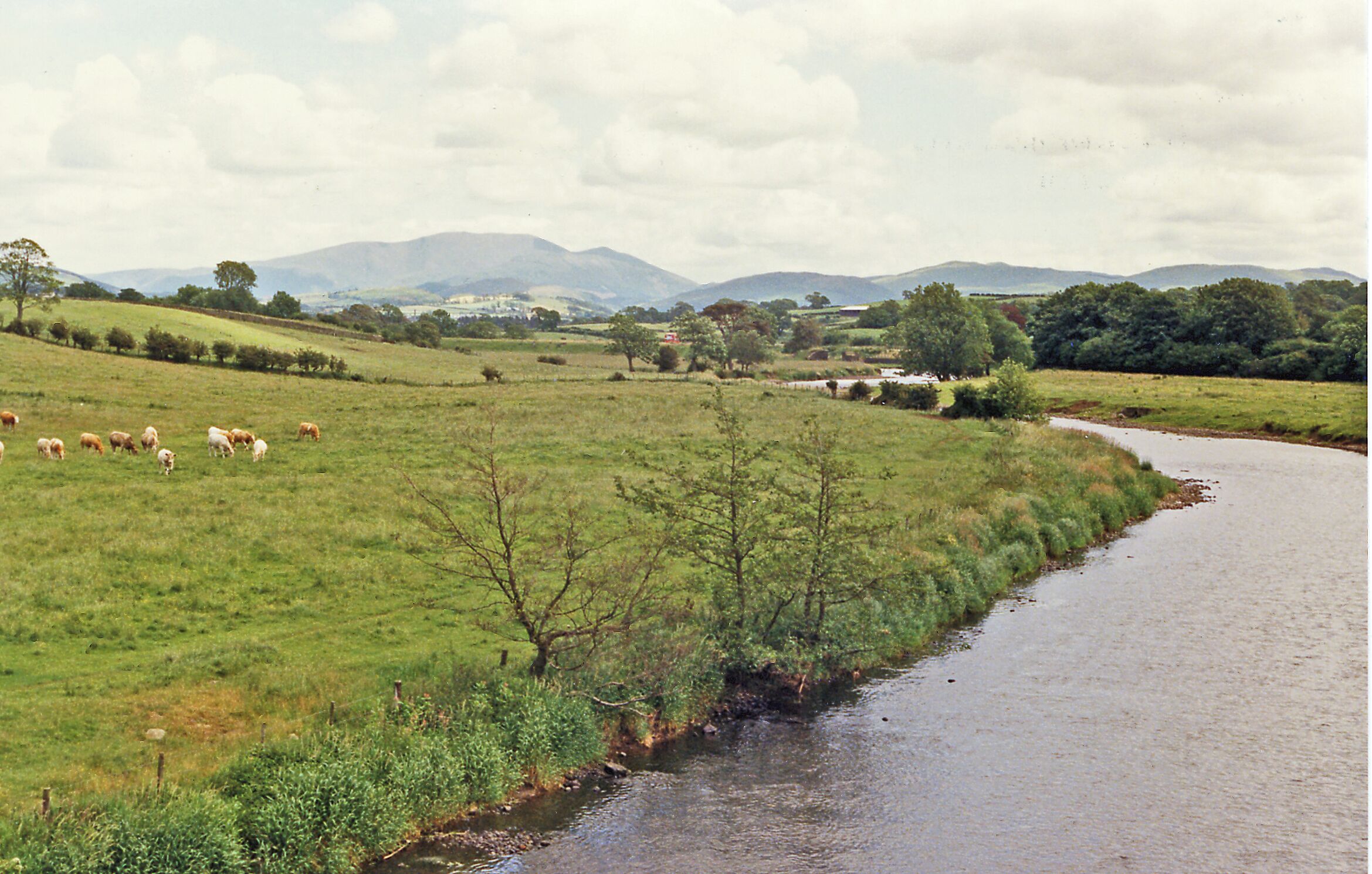 A river flowing through a grassy field with a herd of sheep grazing nearby and mountains in the background.