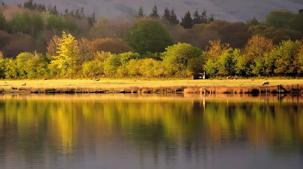 Loweswater, Lake District