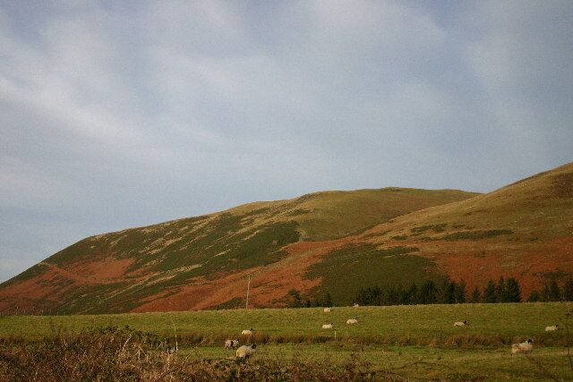 Lower slopes Kirkfell. Bracken gives beautiful autumn colours on this fellside