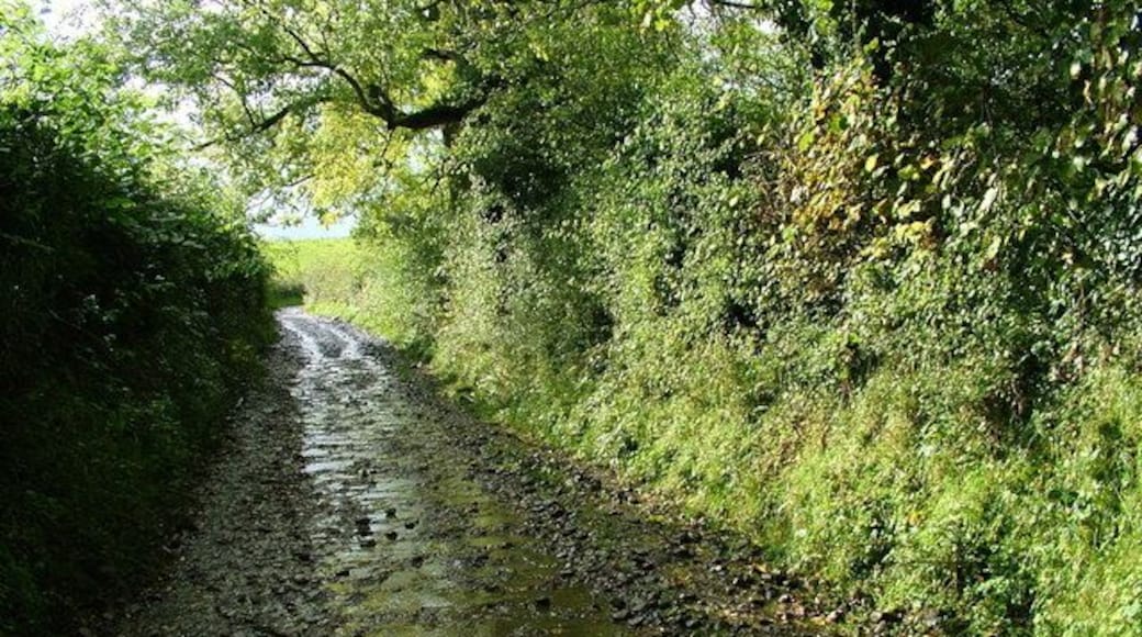 Track from Sunderland to Blindcrake