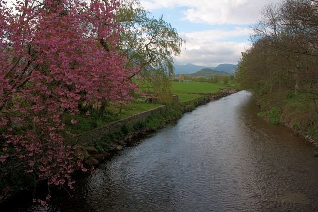 River Cocker Looking upstream from the bridge.