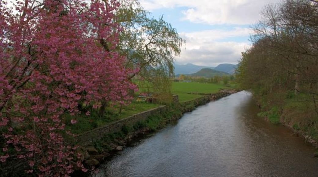 River Cocker Looking upstream from the bridge.