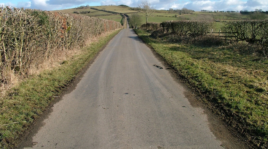 Road up Tallentire Hill
