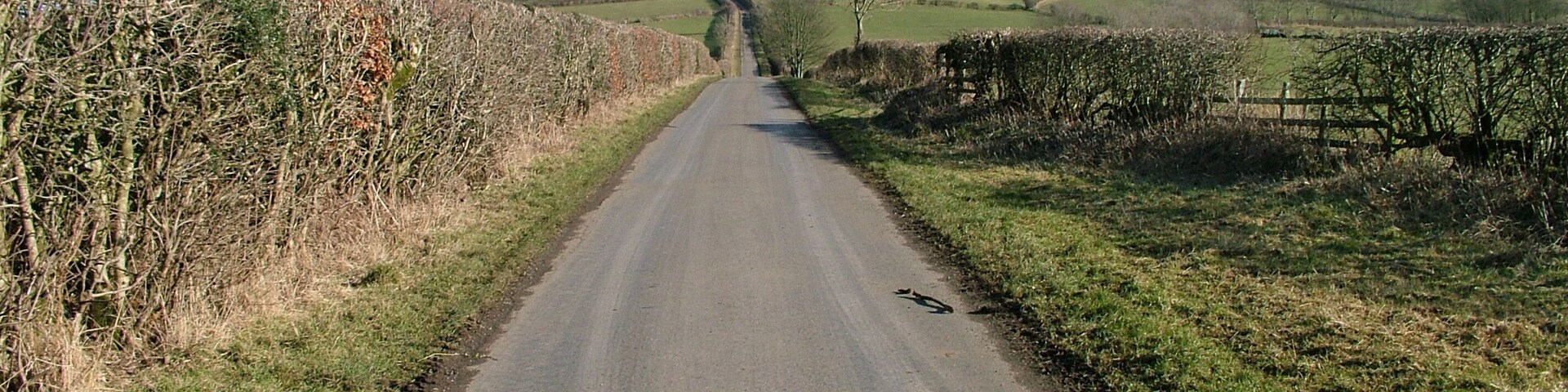 Road up Tallentire Hill
