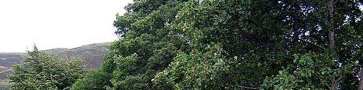 Whit Beck approaching High Mill