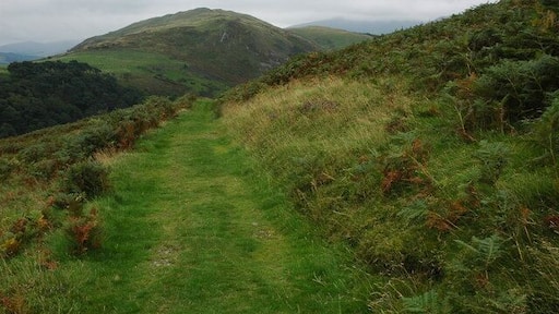 Grass track on Ling Fell This grass track contours along the northern slopes of Ling Fell, Sale Fell is in the background.