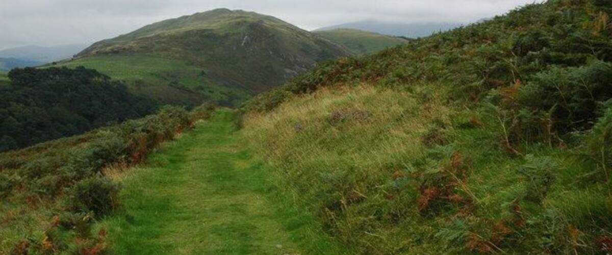 A grassy trail leading up a hill with a mountain in the background.