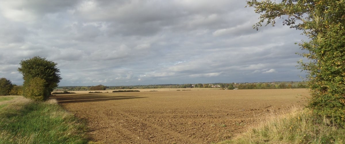 A rural landscape with a plowed field, a tree, and a cloudy sky.