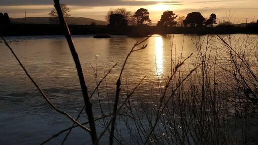 A lovely sunset by the river in Corbridge 🏞️🌤️