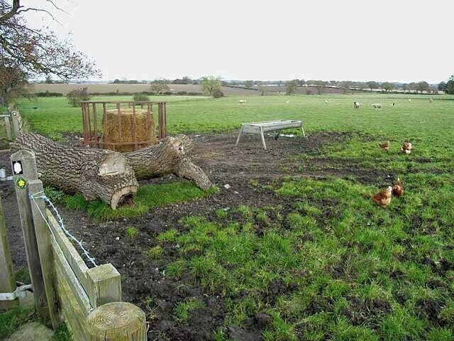 Agricultural bric-a-brac at Wall Houses It's good to see totally free-range hens rooting around as nature intended, even though it might be very inefficient practice. Seen on Hadrians Wall National Trail which runs 135 km from Bowness-on-Solway to Wallsend http://www.nationaltrail.co.uk/hadrianswall/.