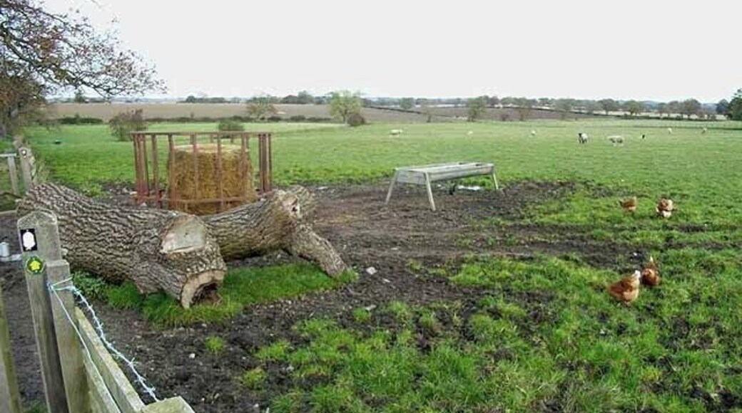 Agricultural bric-a-brac at Wall Houses It's good to see totally free-range hens rooting around as nature intended, even though it might be very inefficient practice. Seen on Hadrians Wall National Trail which runs 135 km from Bowness-on-Solway to Wallsend http://www.nationaltrail.co.uk/hadrianswall/.