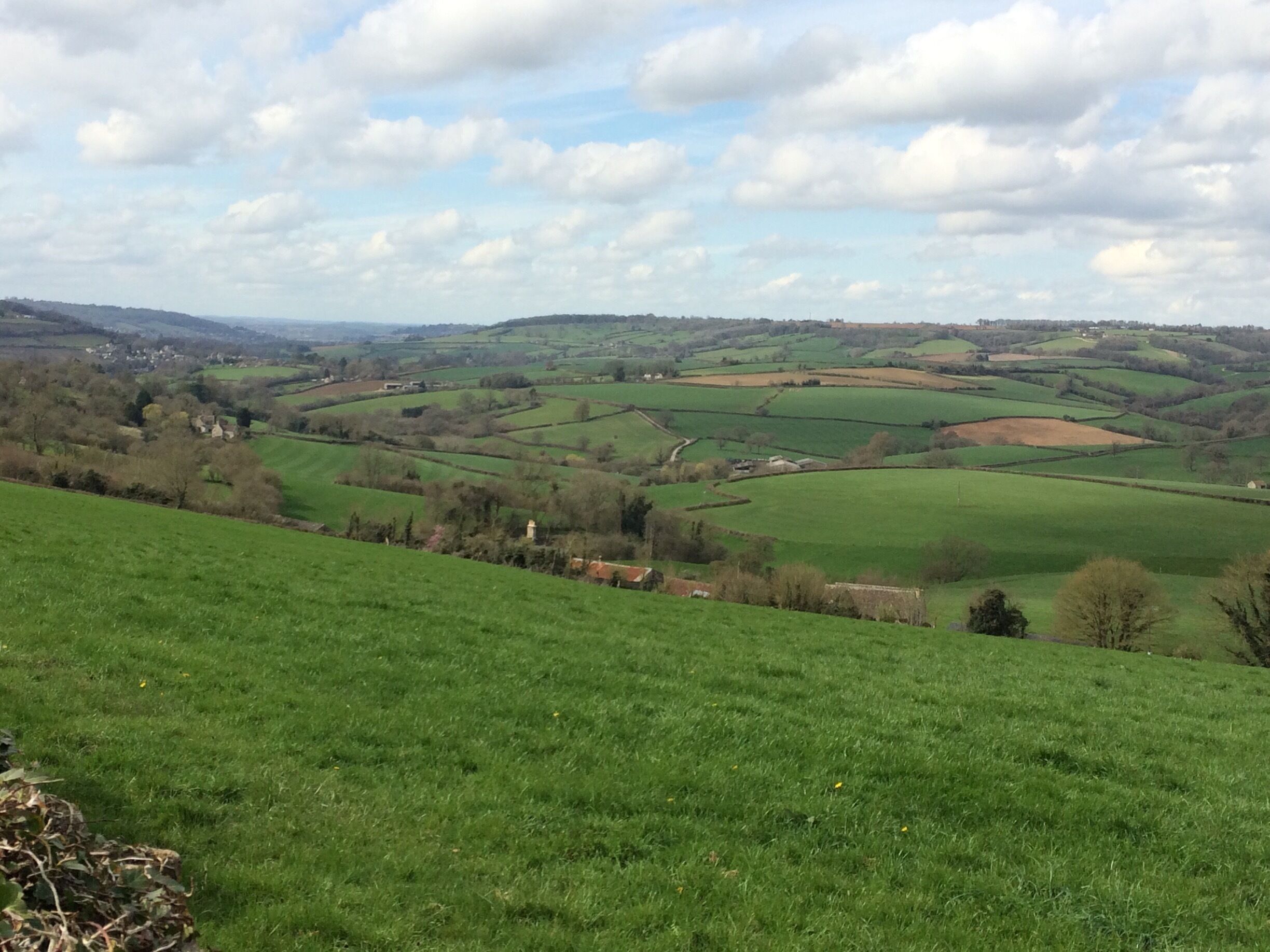 The view I'm enjoying on my run every day